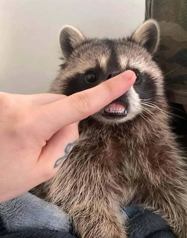 What Is Going On Here? (49 pics) What Is Going On Here? (49 pics)