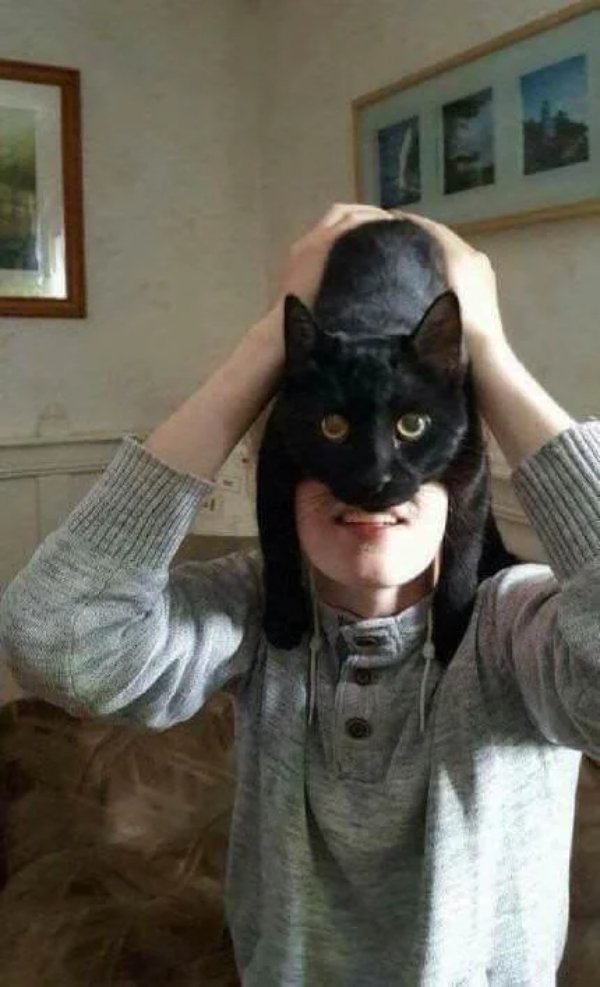 What Is Going On Here? (49 pics) What Is Going On Here? (49 pics)