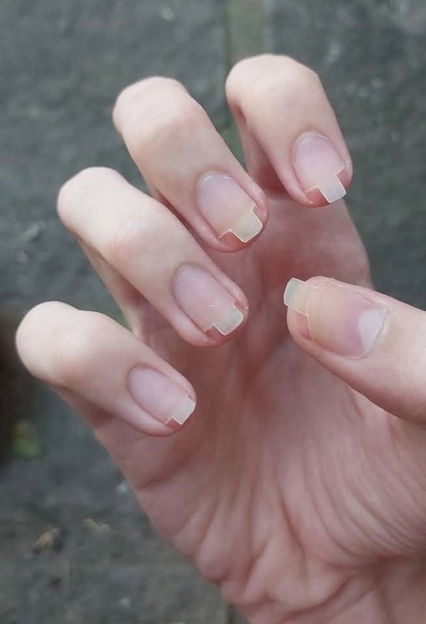 Strange Finds And Situations (31 pics) Strange Finds And Situations (31 pics)