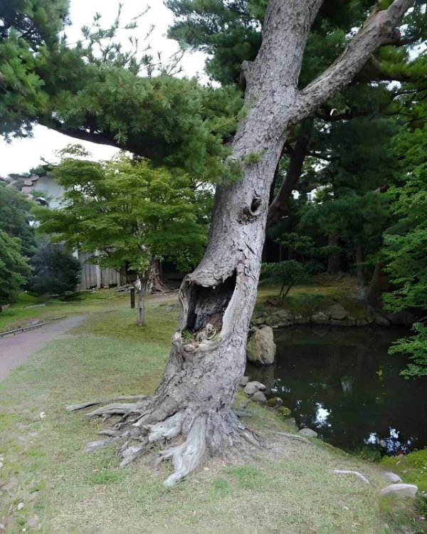 This Is Pareidolia (34 pics) This Is Pareidolia (34 pics)