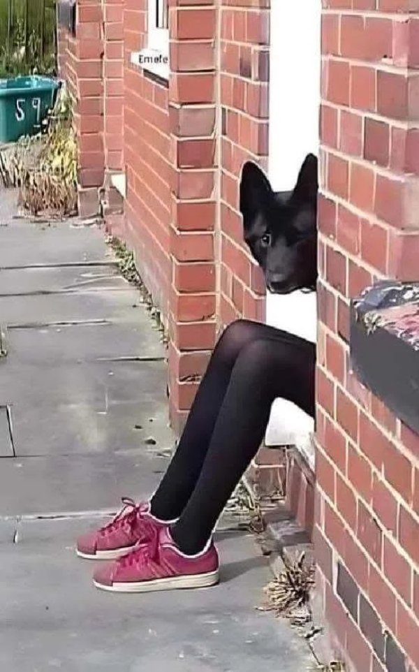 What Is Going On Here? (49 pics) What Is Going On Here? (49 pics)