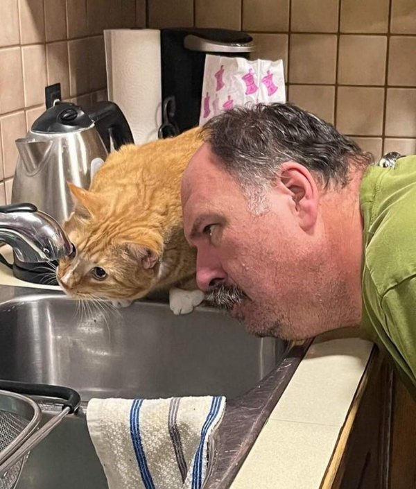 What Is Going On Here? (49 pics) What Is Going On Here? (49 pics)