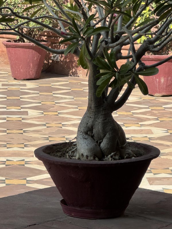 This Is Pareidolia (34 pics) This Is Pareidolia (34 pics)