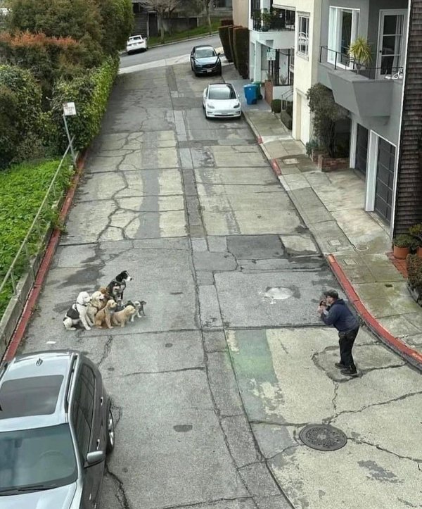 What Is Going On Here? (49 pics) What Is Going On Here? (49 pics)