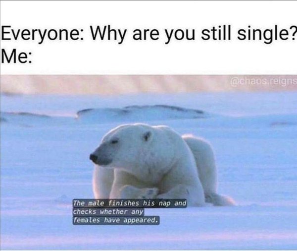 Memes About Loneliness And Dating (38 pics) Memes About Loneliness And Dating (38 pics)