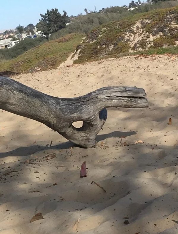 This Is Pareidolia (34 pics) This Is Pareidolia (34 pics)