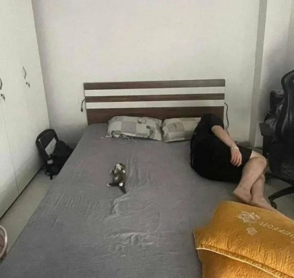 What Is Going On Here? (49 pics) What Is Going On Here? (49 pics)