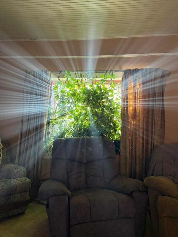 Jokes And Photos For A Good Mood (25 pics) Jokes And Photos For A Good Mood (25 pics)