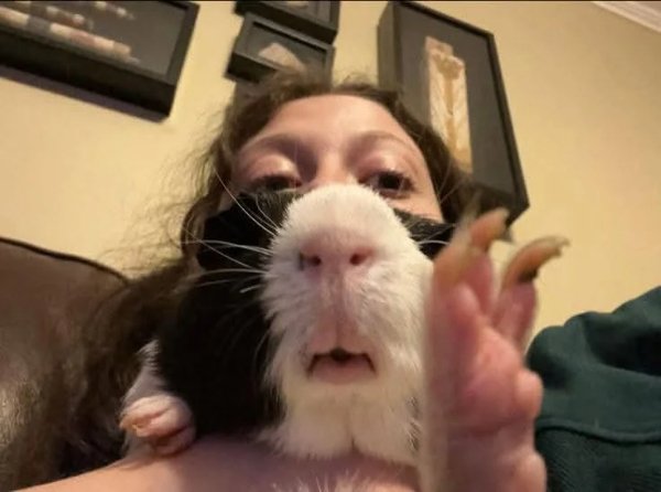 What Is Going On Here? (49 pics) What Is Going On Here? (49 pics)