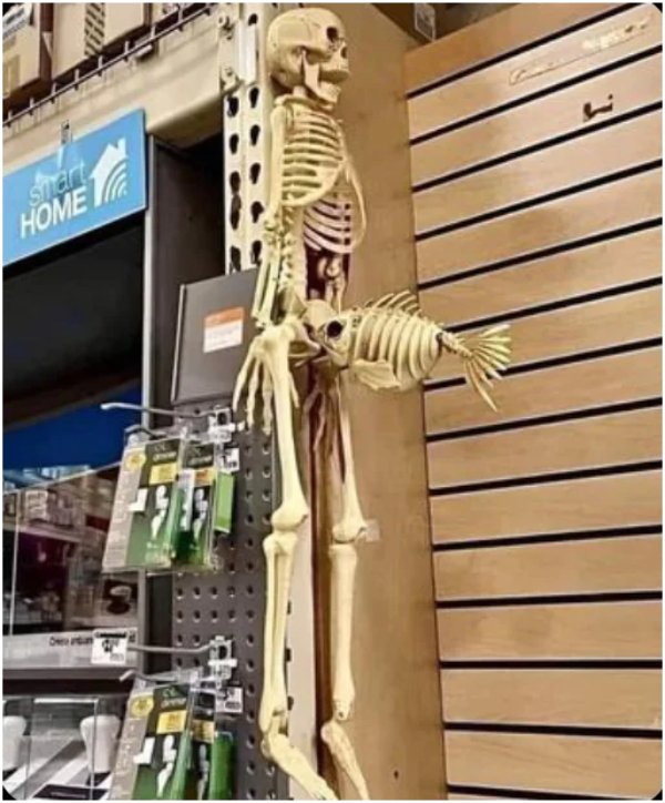 What Is Going On Here? (49 pics) What Is Going On Here? (49 pics)