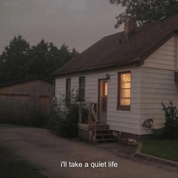 Jokes And Photos For A Good Mood (25 pics)