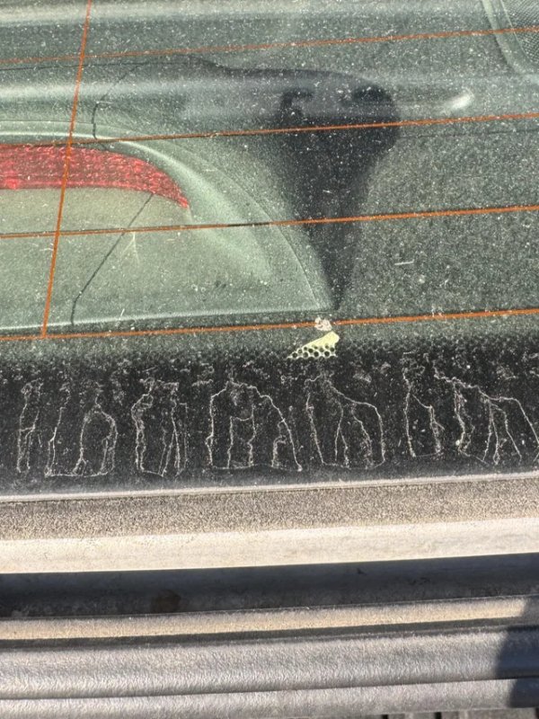 This Is Pareidolia (34 pics) This Is Pareidolia (34 pics)