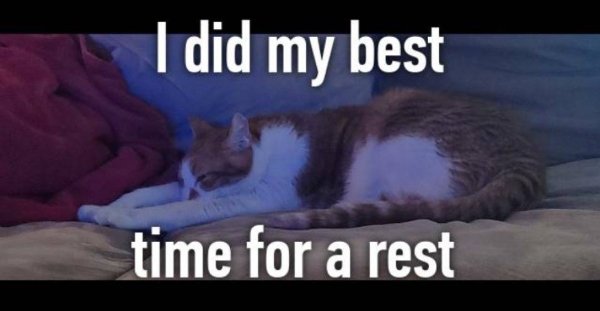 Jokes And Photos For A Good Mood (25 pics) Jokes And Photos For A Good Mood (25 pics)