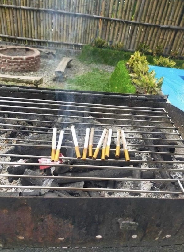 Strange Finds And Situations (31 pics) Strange Finds And Situations (31 pics)