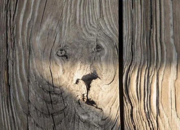 This Is Pareidolia (34 pics) This Is Pareidolia (34 pics)
