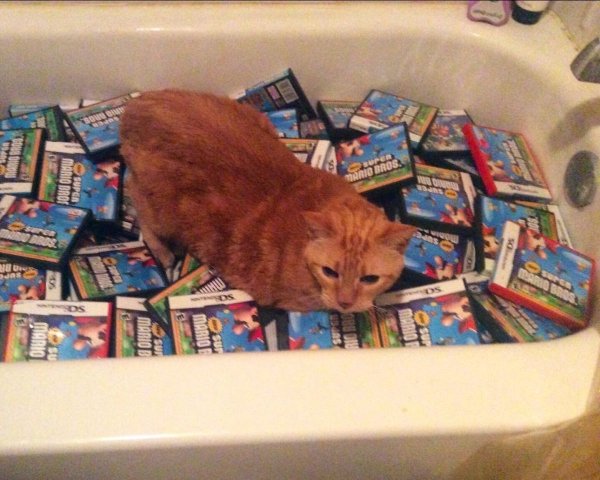 Jokes And Photos For A Good Mood (25 pics) Jokes And Photos For A Good Mood (25 pics)