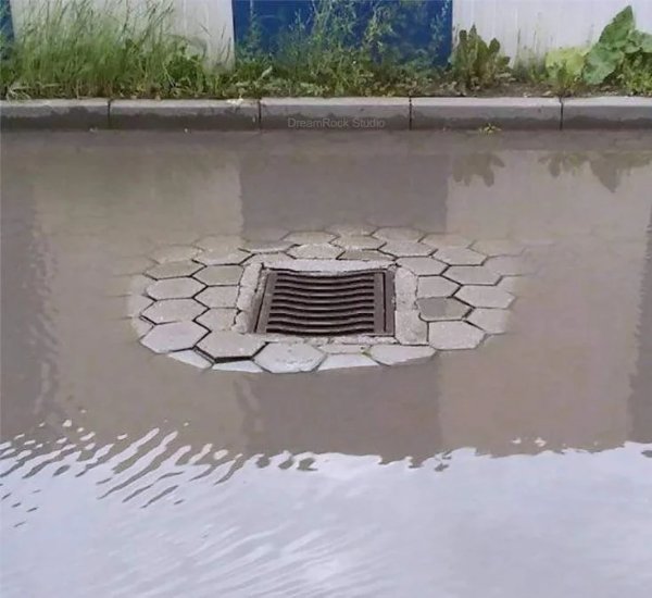 What Is Going On Here? (49 pics) What Is Going On Here? (49 pics)