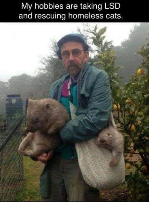 Jokes And Photos For A Good Mood (25 pics) Jokes And Photos For A Good Mood (25 pics)