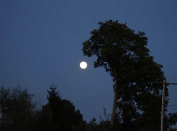 This Is Pareidolia (34 pics) This Is Pareidolia (34 pics)