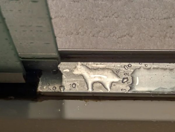 This Is Pareidolia (34 pics) This Is Pareidolia (34 pics)