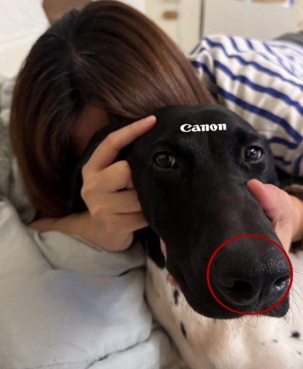 What Is Going On Here? (49 pics) What Is Going On Here? (49 pics)