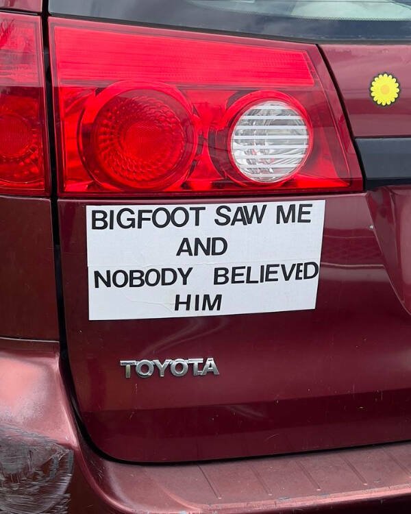 Funny Photos And Jokes (15 pics)
