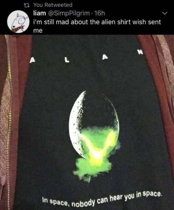 Funny Photos And Jokes (15 pics)