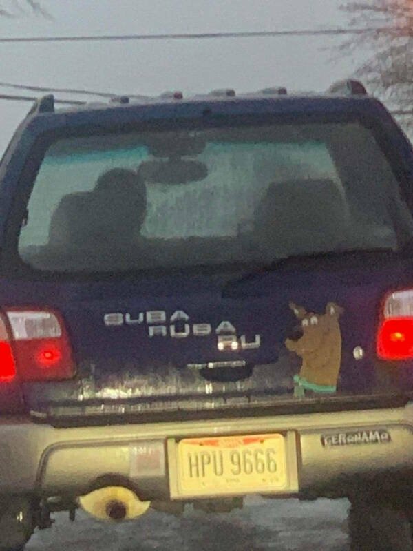 Funny Photos And Jokes (15 pics)
