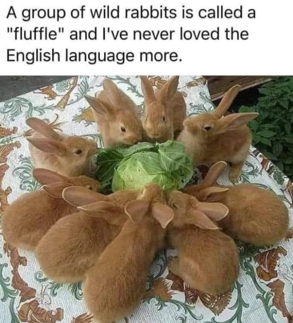 Kind Memes (27 pics)