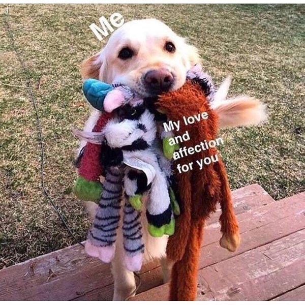 Kind Memes (27 pics)