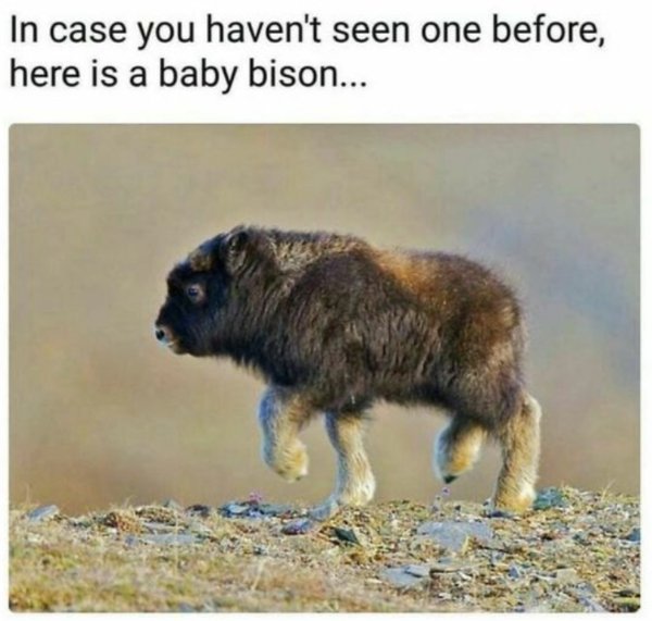 Kind Memes (27 pics)