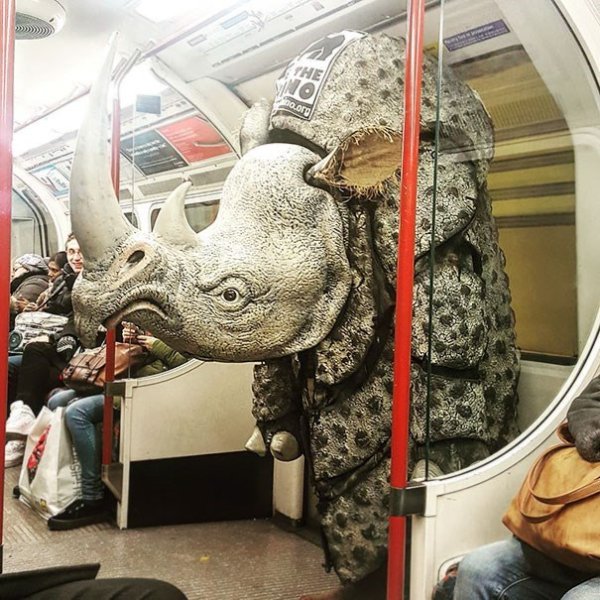 Public Transport Is Chaos (33 pics)