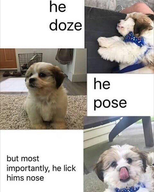 Kind Memes (27 pics)