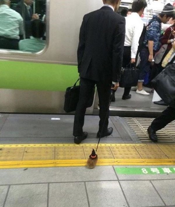 Public Transport Is Chaos (33 pics)