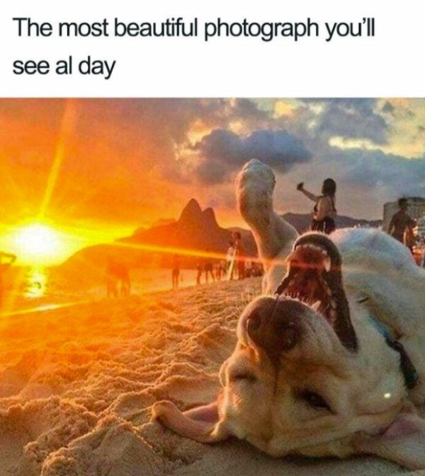 Kind Memes (27 pics)