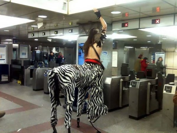 Public Transport Is Chaos (33 pics)