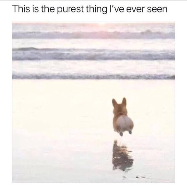 Kind Memes (27 pics)