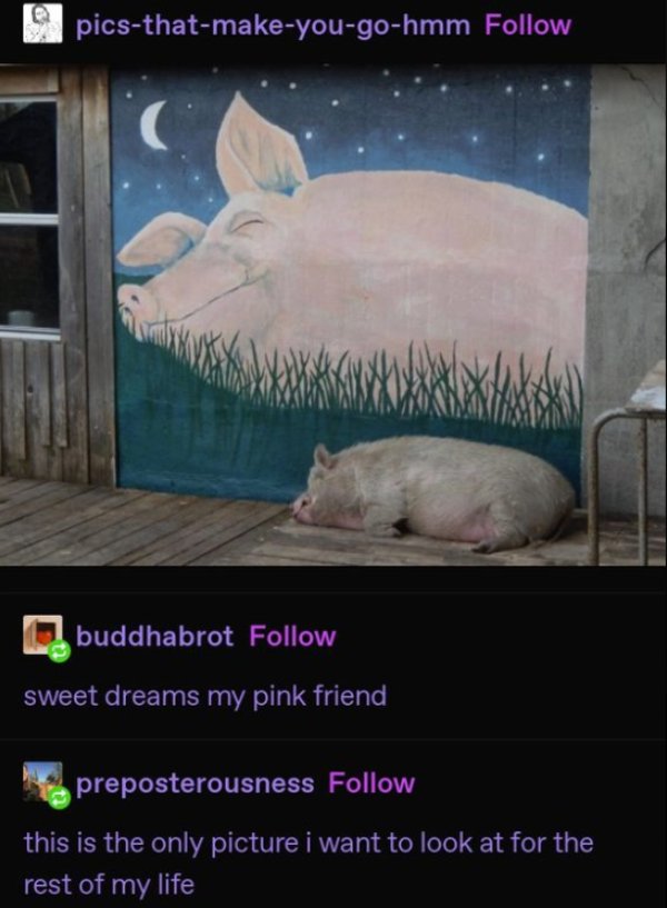 Kind Memes (27 pics)