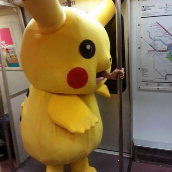 Public Transport Is Chaos (33 pics)
