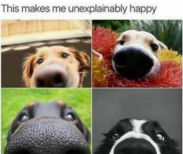 Kind Memes (27 pics)