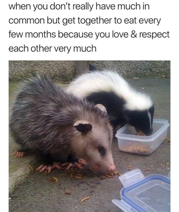 Kind Memes (27 pics)