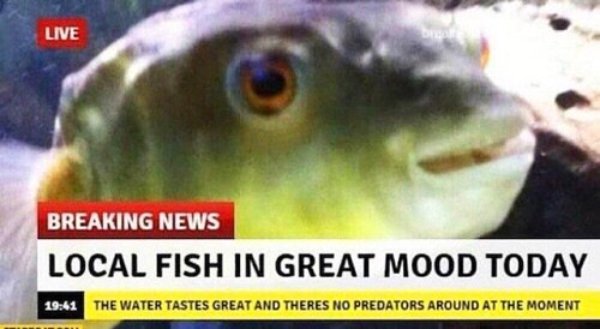 Kind Memes (27 pics)