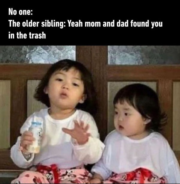 Family Memes (48 pics) Family Memes (48 pics)