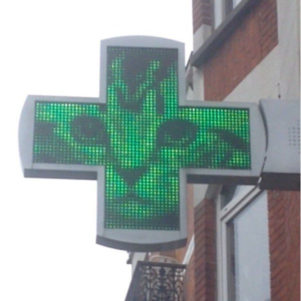 Funny Signs (24 pics) Funny Signs (24 pics)