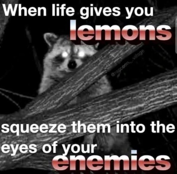 Funny Memes (28 pics)