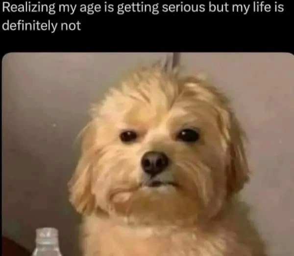 Funny Memes (28 pics)