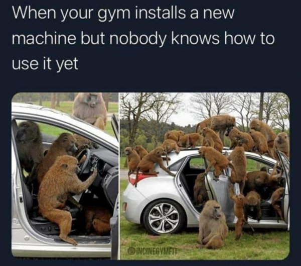 Funny Memes (28 pics)