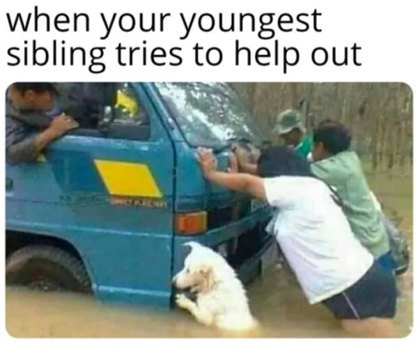 Family Memes (48 pics) Family Memes (48 pics)