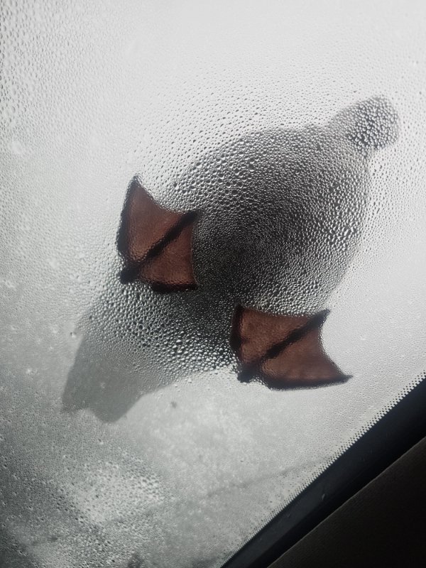 Interesting Finds (24 pics)