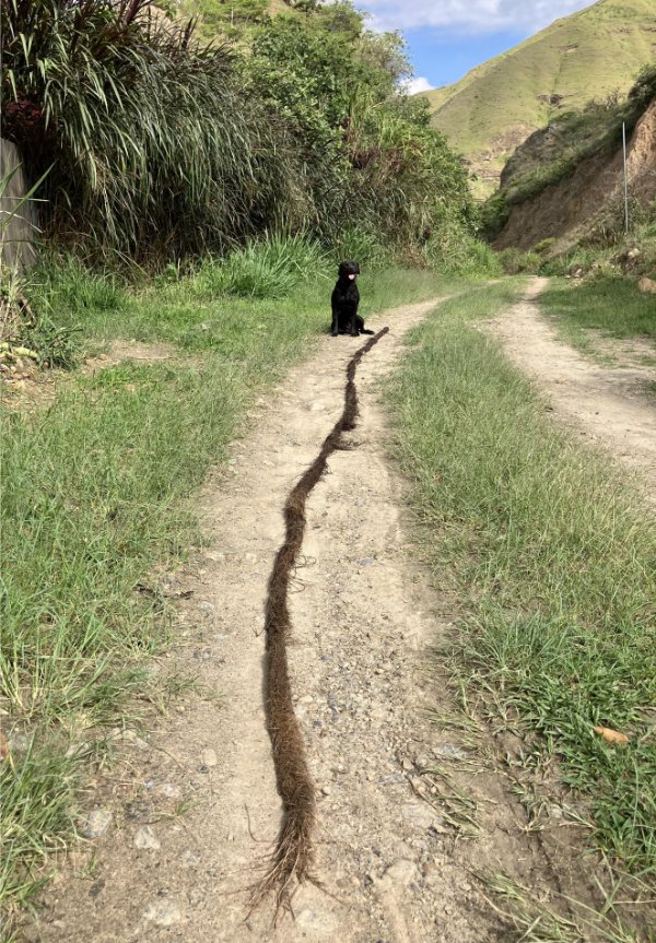 Interesting Finds (24 pics)